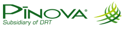 Pinova logo