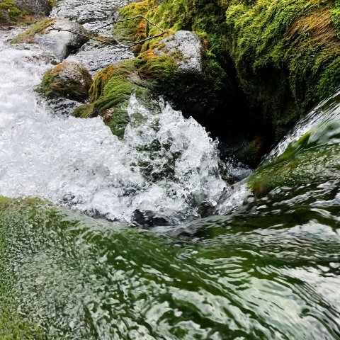 rushing water through a stream